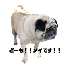 Akiko_20211008123646