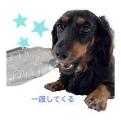 Risa_20211008133508