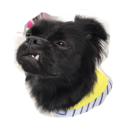blackUNIkun