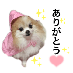 mizuki_20211008143807