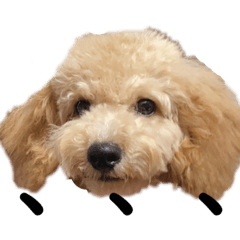 kaito_20211007194308