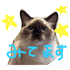 mutakun_20211007201620