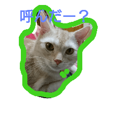 yout6