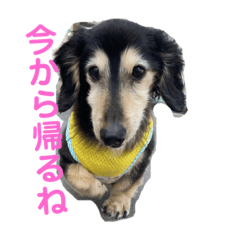 miki_20211007220001