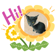 Cherry_20211007161346