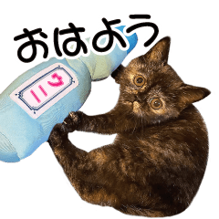 Uchinoko STAMP uni-chan