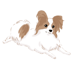 lovely Papillon dog stickers