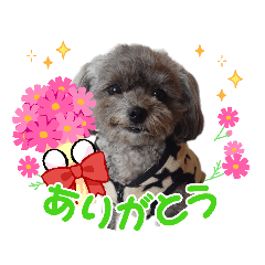hana_20211008000313