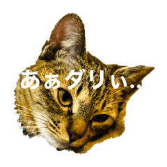 RYU_20211007213150