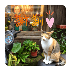 SATOSHI.I_20211008220718