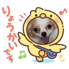 omochi_20211008223539