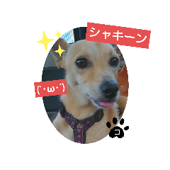 tomomi_20211008232122