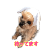 Udon's daily life