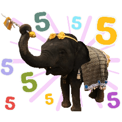 Oumboon Elephant