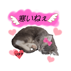 AYUMI_20211009083257