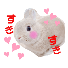 risa_20211008135910