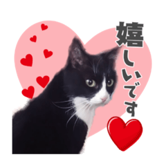 tono_20211008160756