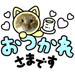 hiyori_20211008190929