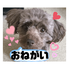 JaMes_20211009133148