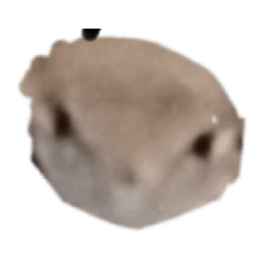 kaito_20211009140953