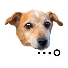 YK_20211008203056