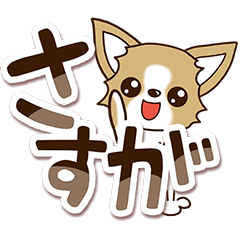Chihuahua's Sticker! 4