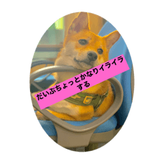 Ryuyaaaa_0716