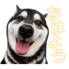 gonkun_