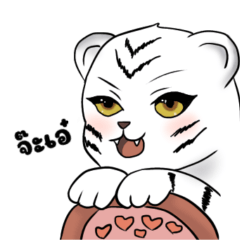 little white tiger.