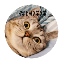 超可愛小貓咪貼圖第四代快來購買-Emma