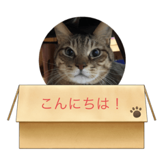 chihiro_20211008221300