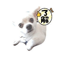 sanae_20211009120230