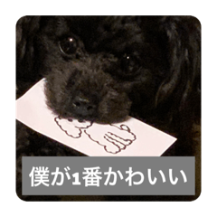 hiyori_20211009140300