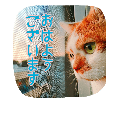 2017/11/1  No.1