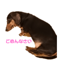 chihiro_20211009104039