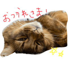 rei_20211009112602