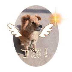 SMILE_20211009003846