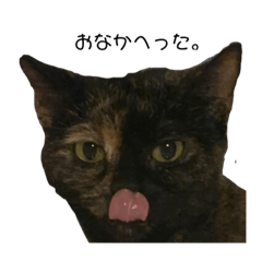 omoco_20211009123633