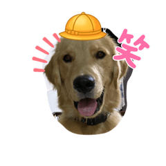 Yukari_20211009115558