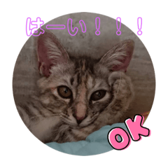 kchan_20211009212122