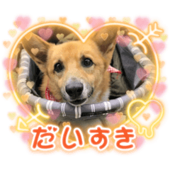 miki_20211009221518