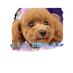 MAYUMI_20211009222613