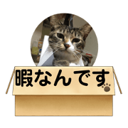 GAO_20211009234932