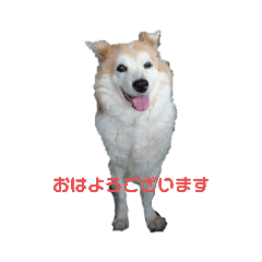 chihiro_20211010093638