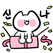 cute white peach cat