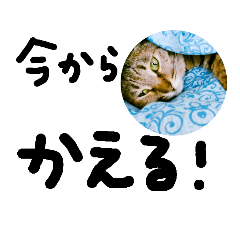 momoko_20211010100826