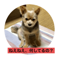 chie_20211010103955