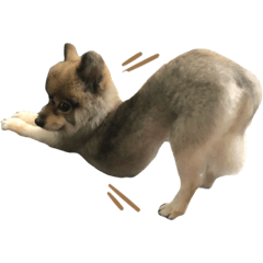 美金ㄉ日常生活
