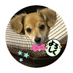 akiko_20211009213635