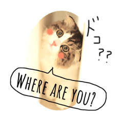 [""RIKU" of ScottishFold vol.2"]